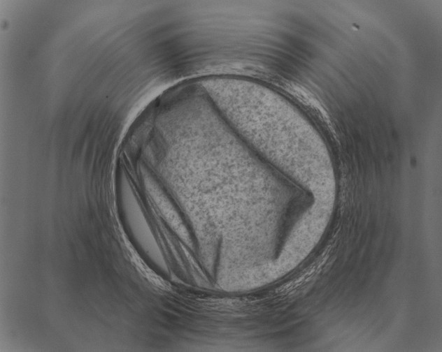 X0000087340792200705181100