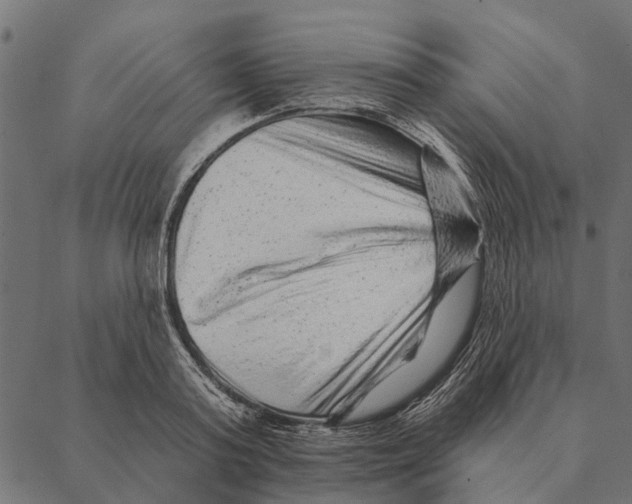 X0000087340795200705181100