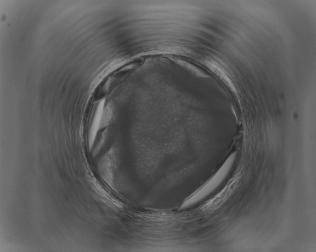 X0000087340797200705181100