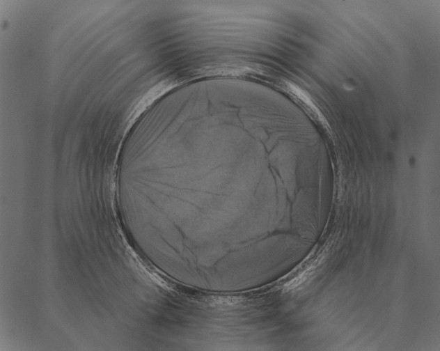 X0000087340802200705181100