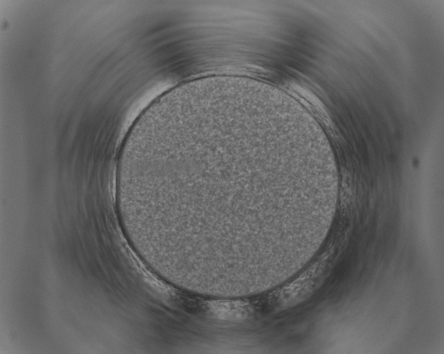 X0000087340804200705181100