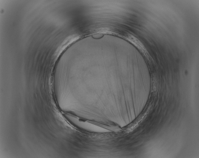X0000087340806200705181100