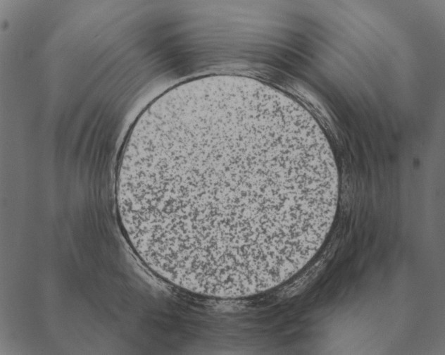 X0000087340808200705181100