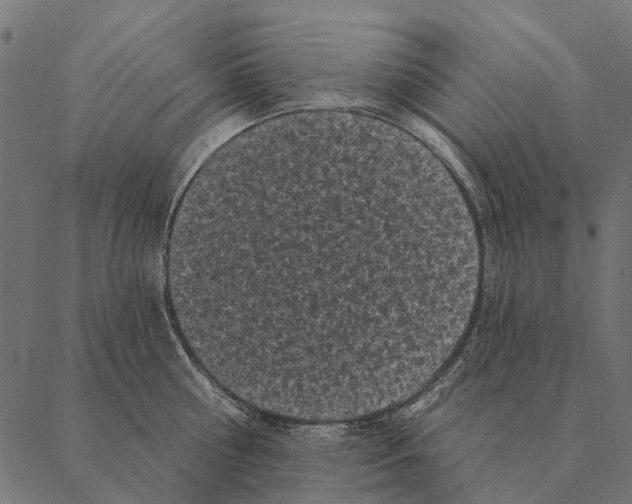 X0000087340810200705181100
