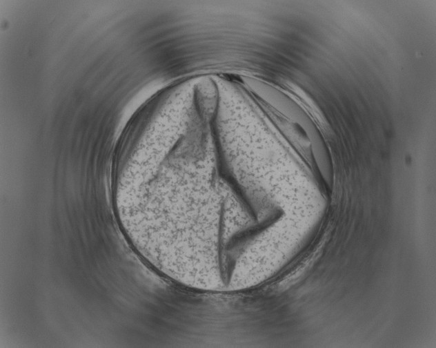 X0000087340812200705181100