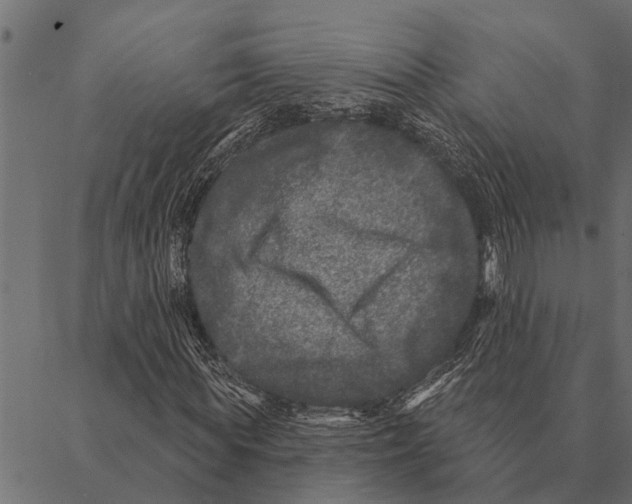 X0000087340819200705181059