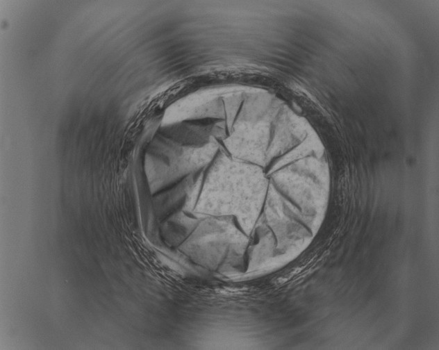 X0000087340822200705181059