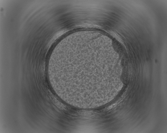 X0000087340831200705181059