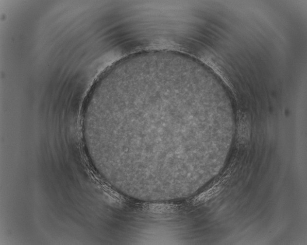 X0000087340832200705181059