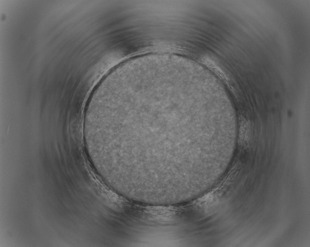 X0000087340836200705181059