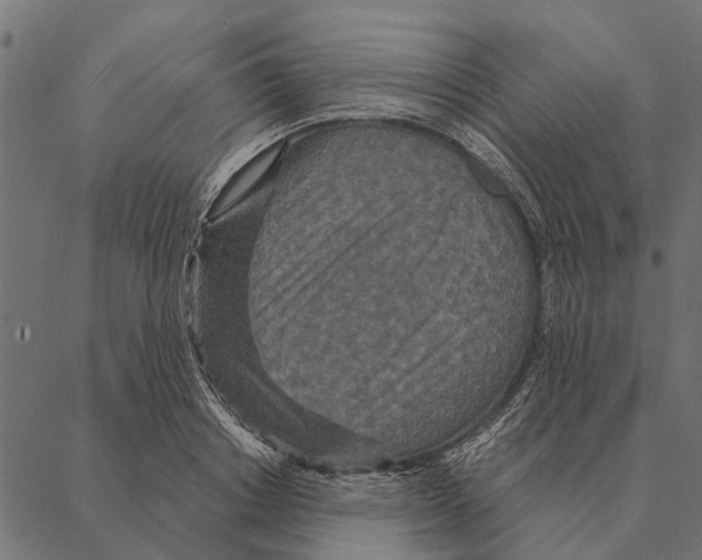 X0000087340842200705181059