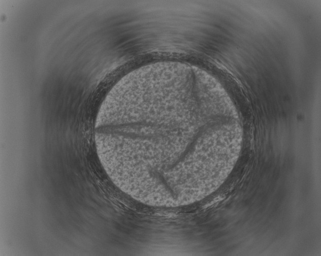 X0000087340870200705181059