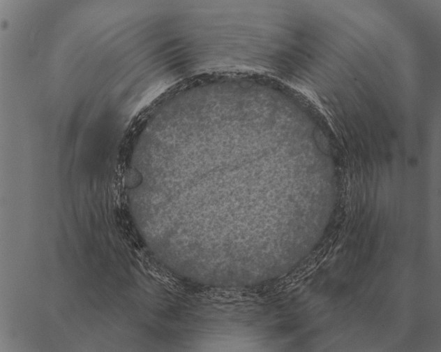 X0000087340871200705181059