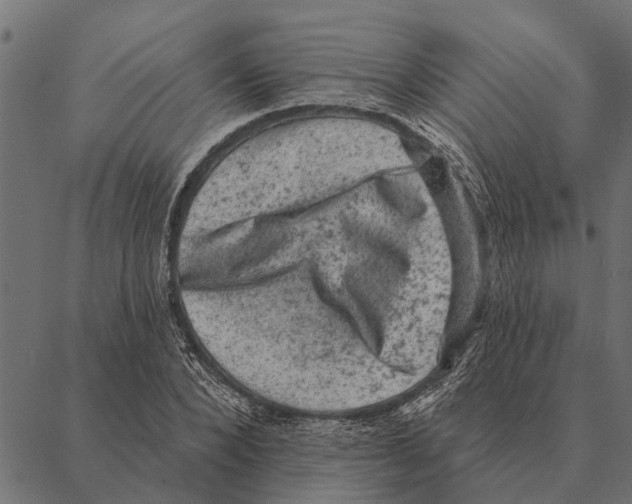 X0000087340880200705181058