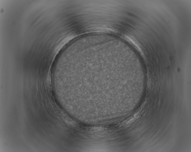 X0000087340883200705181058