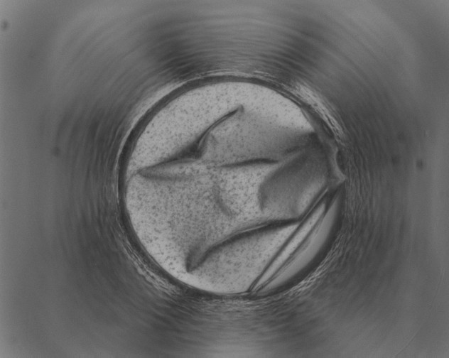 X0000087340884200705181058