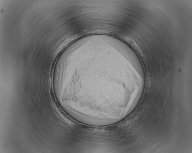X0000087340890200705181058