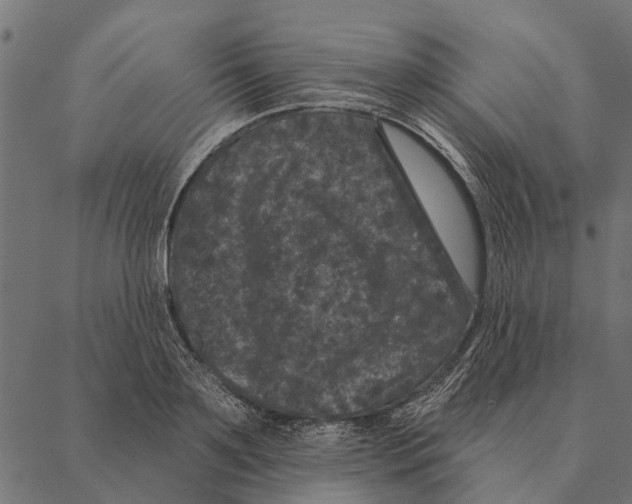 X0000087340891200705181058