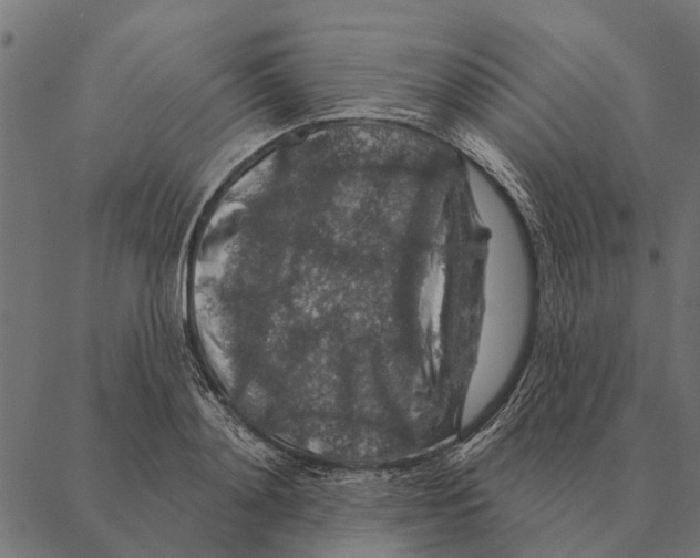 X0000087340892200705181058