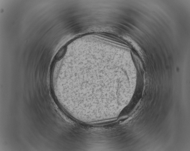 X0000087340894200705181058