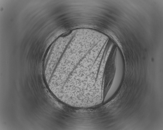 X0000087340898200705181058