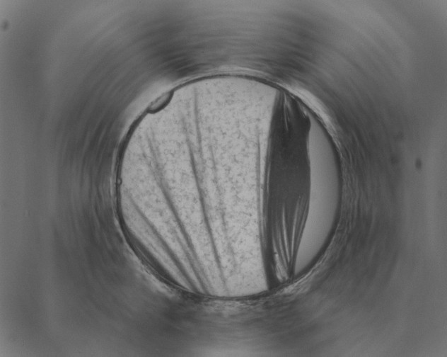 X0000087340910200705181058