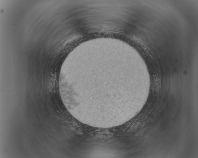 X0000087340918200705181057
