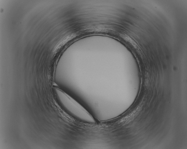 X0000087340922200705181057