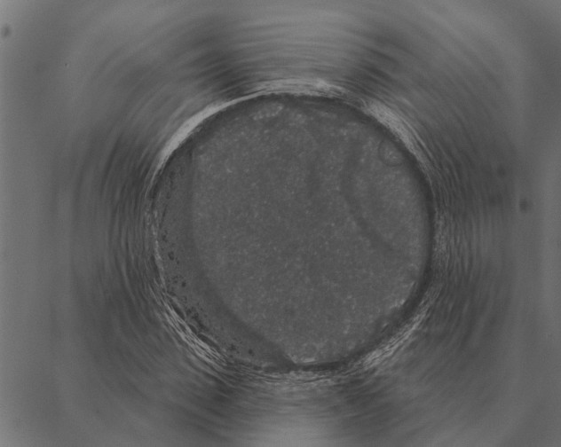 X0000087340923200705181057