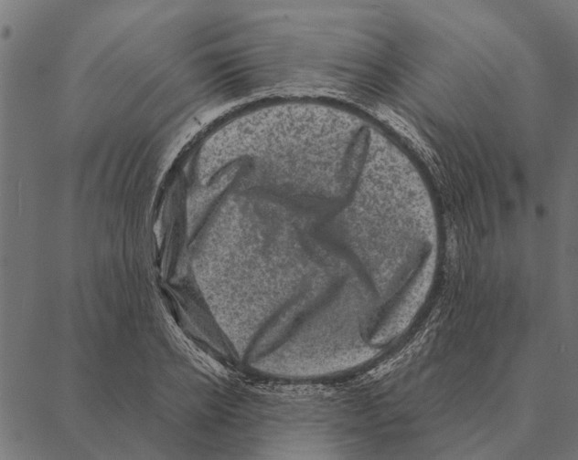 X0000087340934200705181057