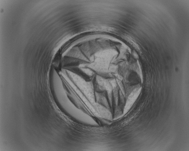 X0000087340936200705181057