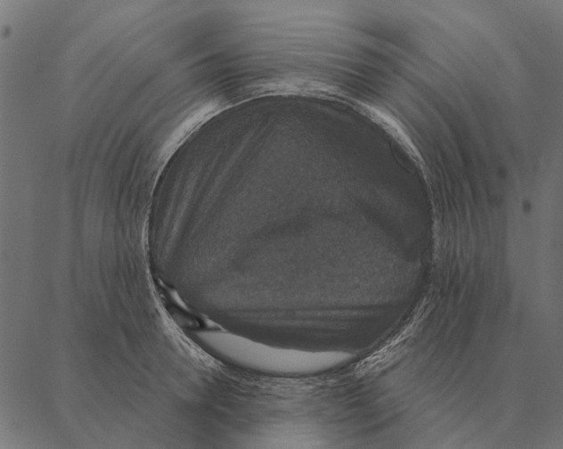 X0000087340946200705181058