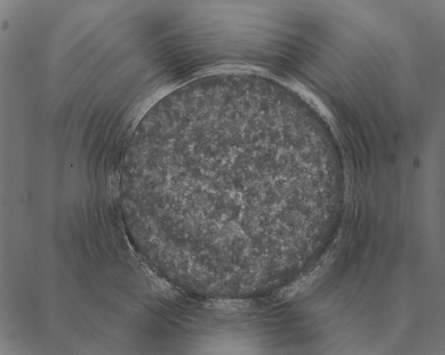 X0000087340953200705181058