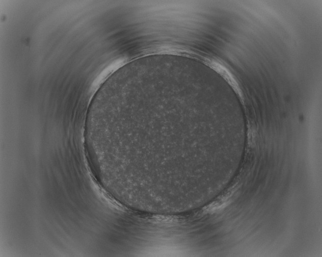 X0000087340954200705181058