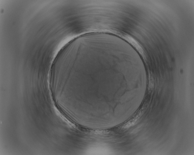 X0000087340958200705181058