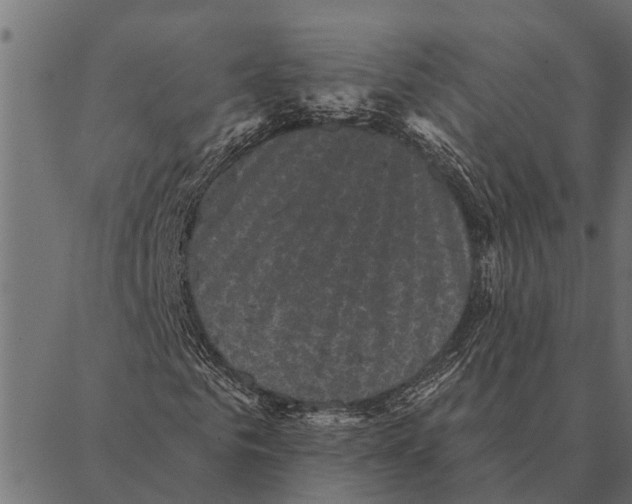 X0000087340961200705181057