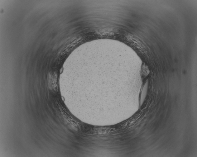 X0000087340963200705181057