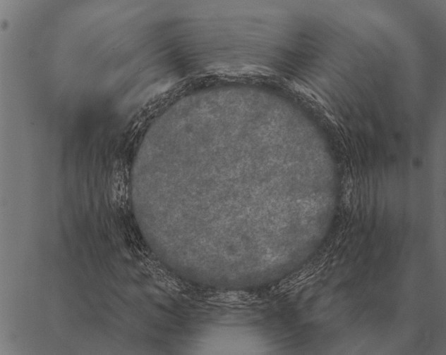 X0000087340966200705181057