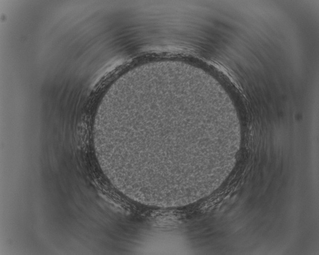 X0000087340967200705181057
