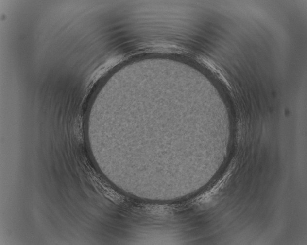X0000087340970200705181057