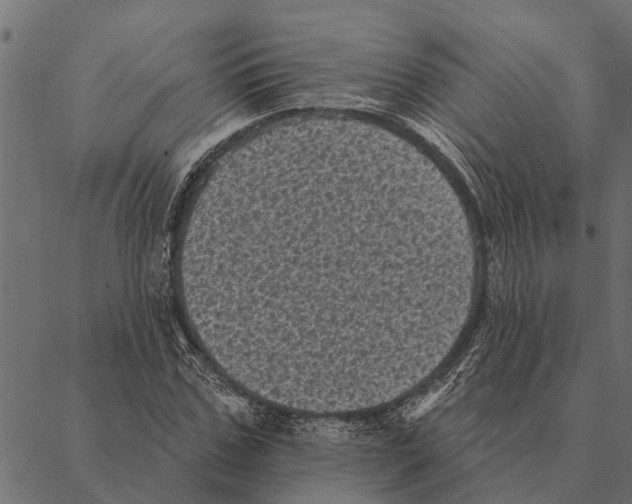 X0000087340971200705181057