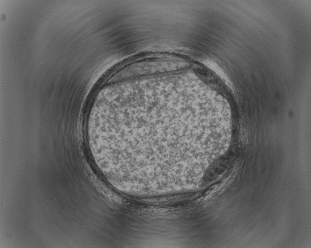 X0000087340976200705181057