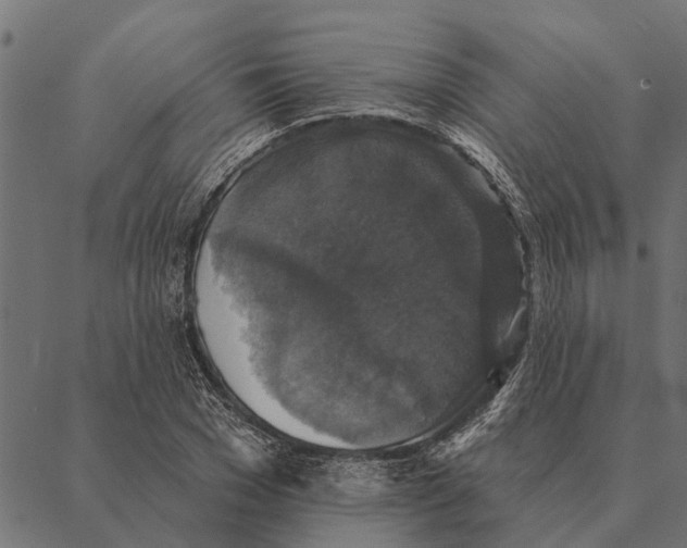 X0000087340977200705181057
