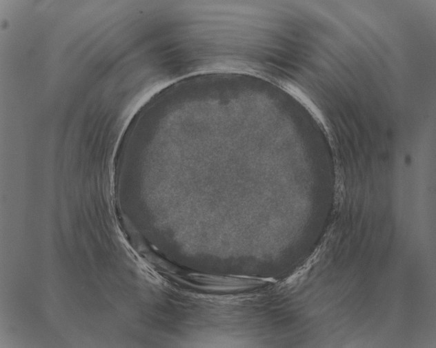 X0000087340996200705181057