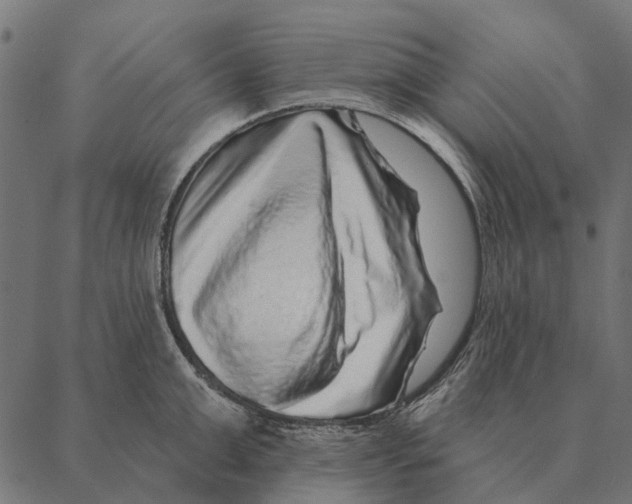 X0000087340999200705181056