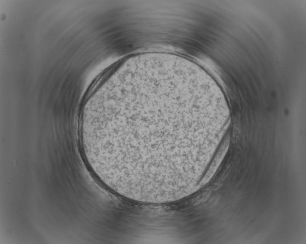 X0000087341003200705181056