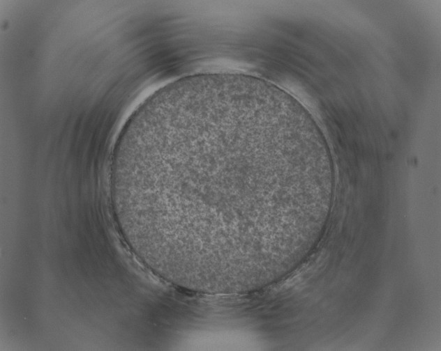 X0000087341008200705181056