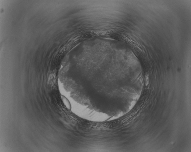 X0000087341011200705181056