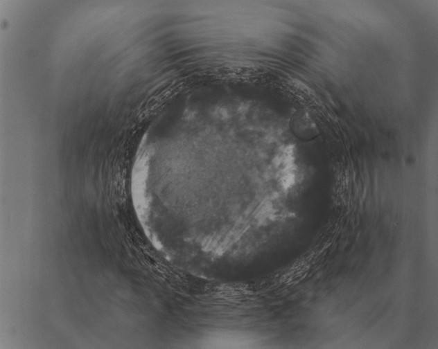 X0000087341013200705181056