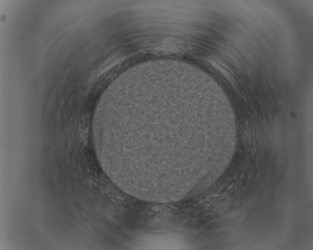 X0000087341015200705181056